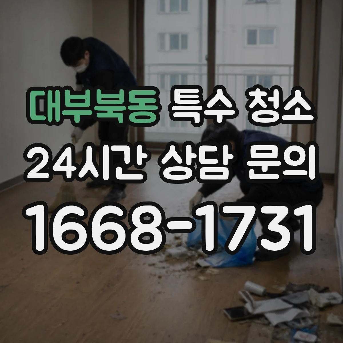 대부북동 특수 청소