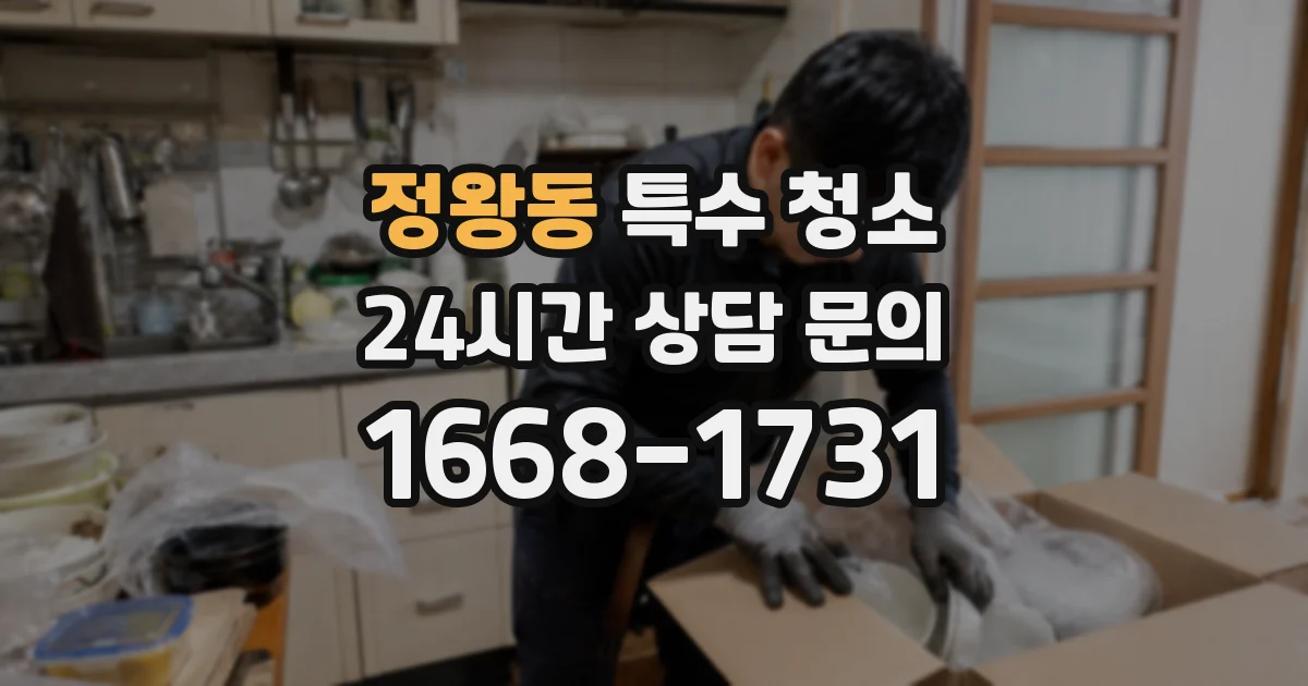 정왕동 특수 청소