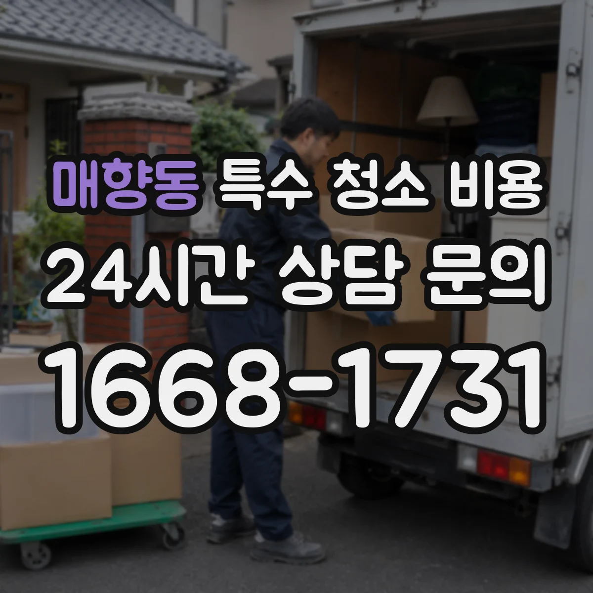 매향동 특수 청소 비용