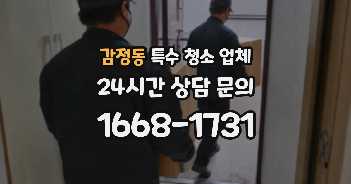 감정동 특수 청소 업체