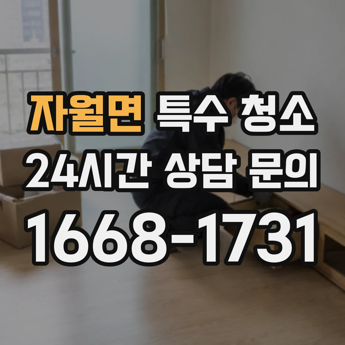 자월면 특수 청소