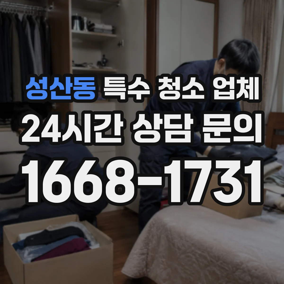 성산동 특수 청소 업체