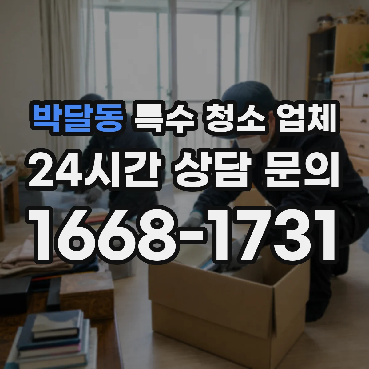 박달동 특수 청소 업체