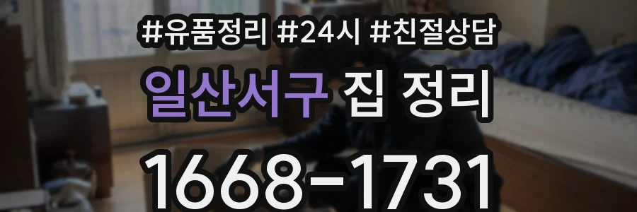 일산서구 집 정리