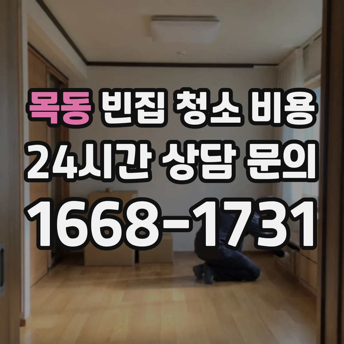 목동 빈집 청소 비용