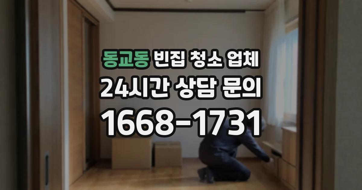 동교동 빈집 청소 업체