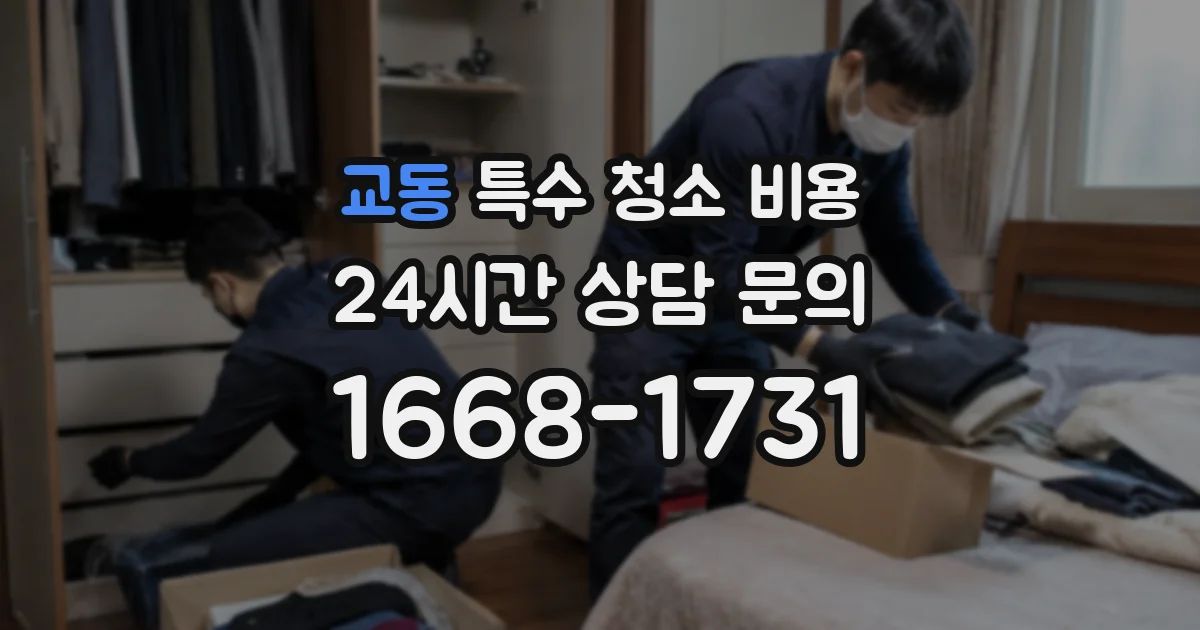 교동 특수 청소 비용