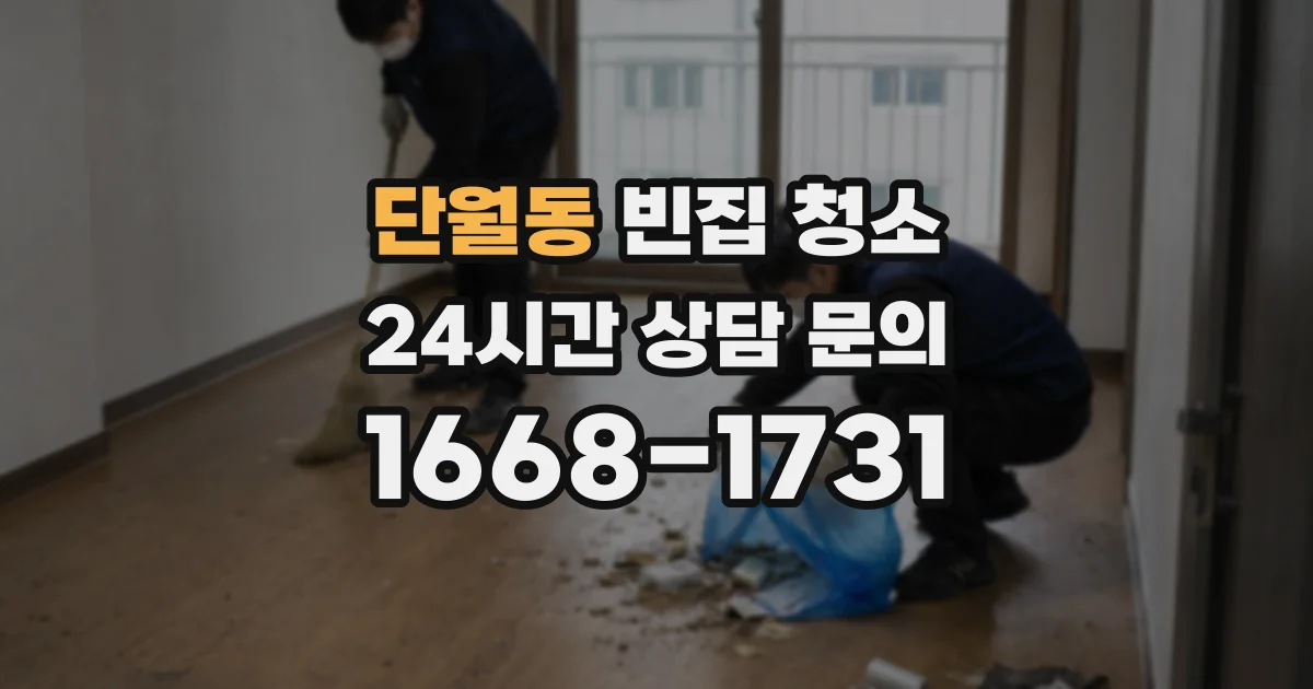 단월동 빈집 청소