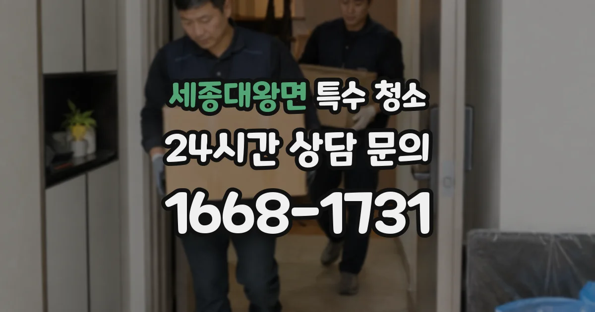 세종대왕면 특수 청소