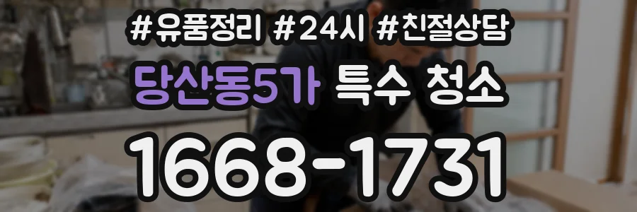 당산동5가 특수 청소