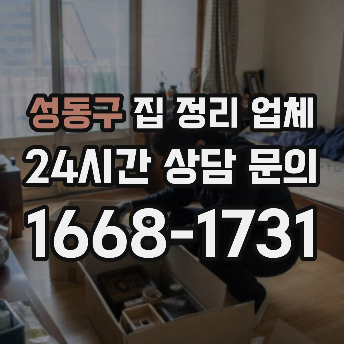 성동구 집 정리 업체