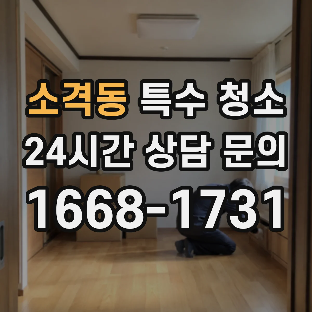 소격동 특수 청소
