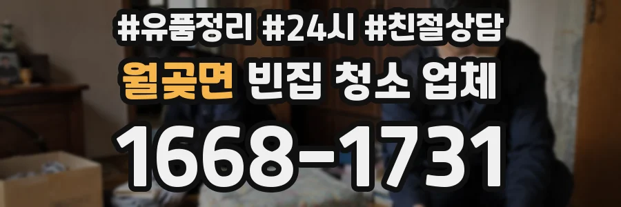 월곶면 빈집 청소 업체