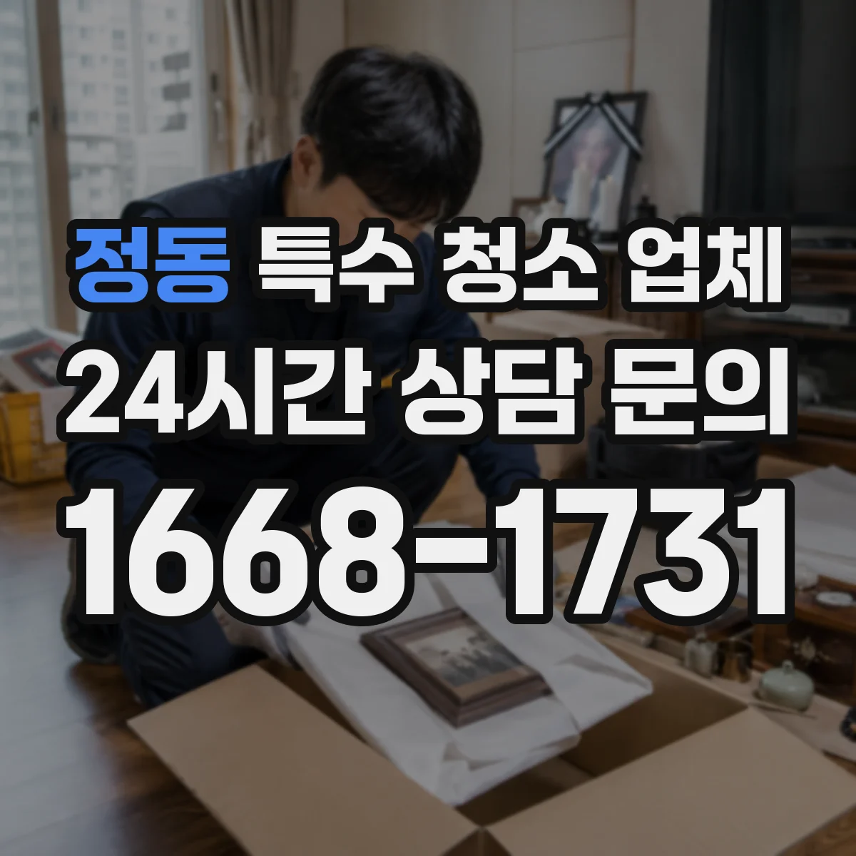 정동 특수 청소 업체