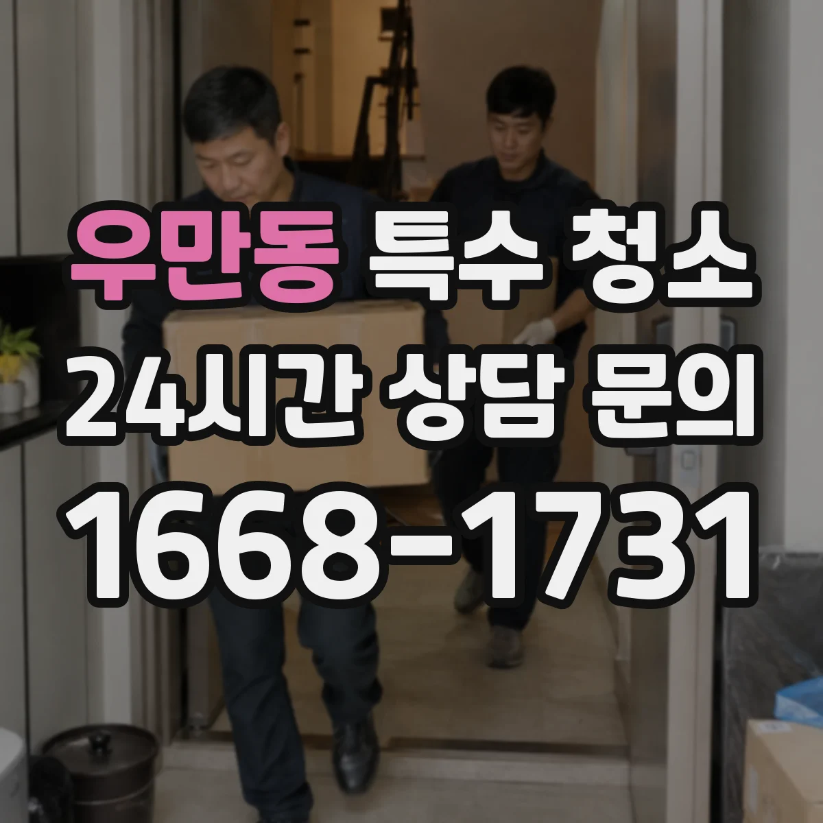 우만동 특수 청소