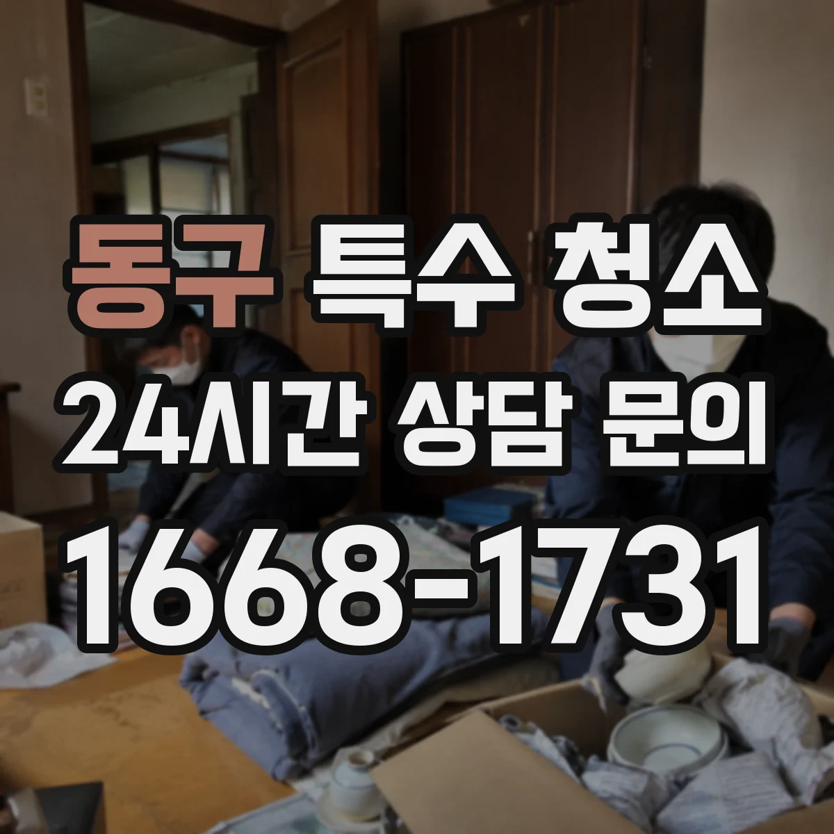 동구 특수 청소