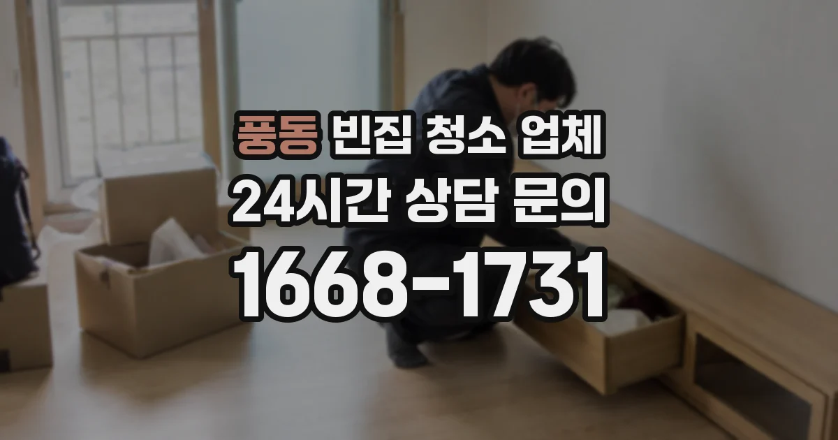 풍동 빈집 청소 업체