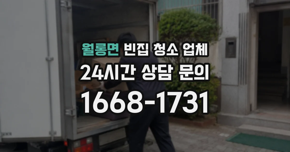 월롱면 빈집 청소 업체