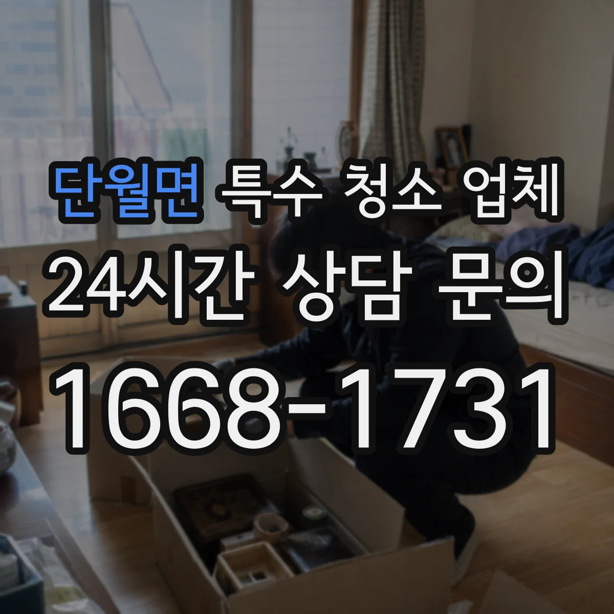 단월면 특수 청소 업체