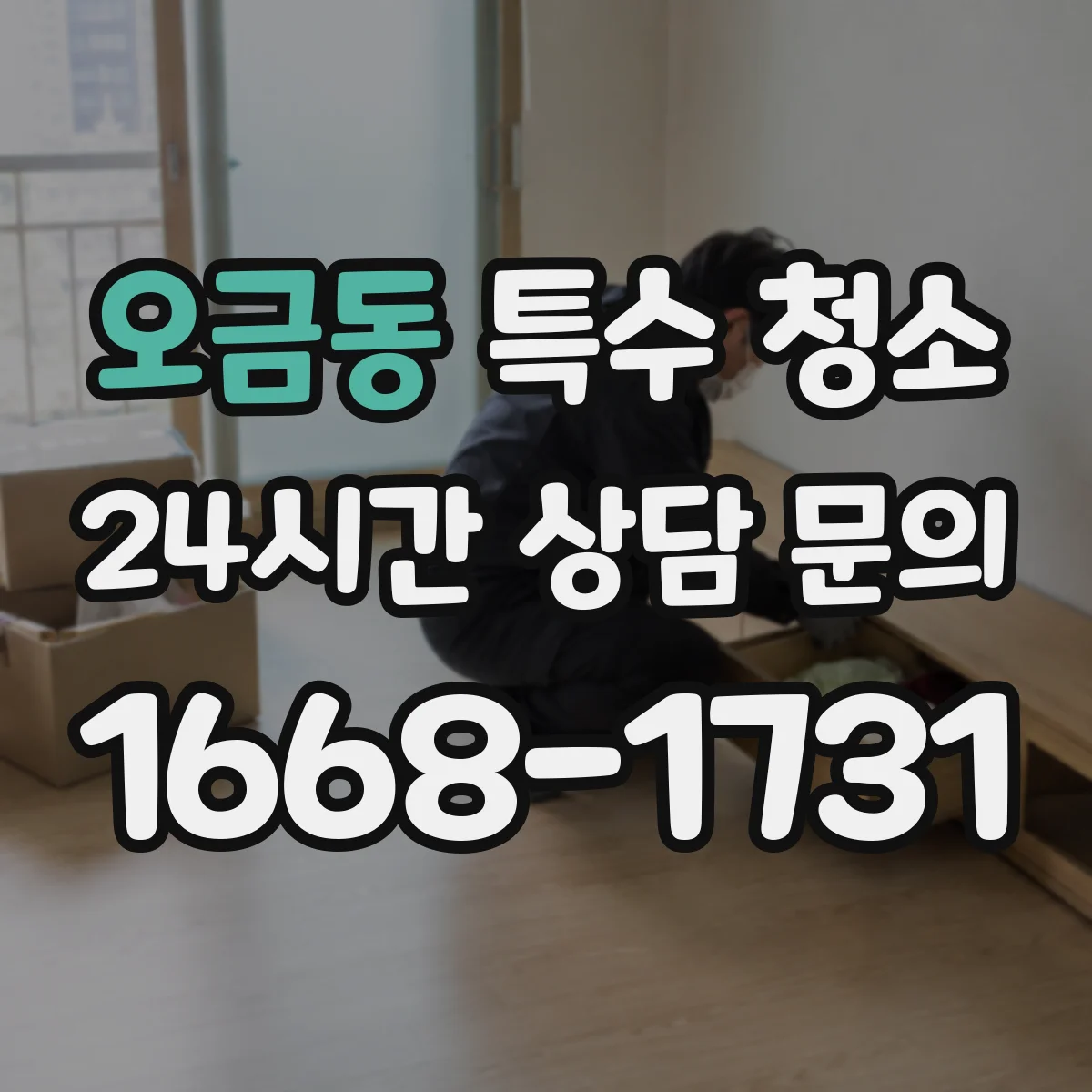 오금동 특수 청소