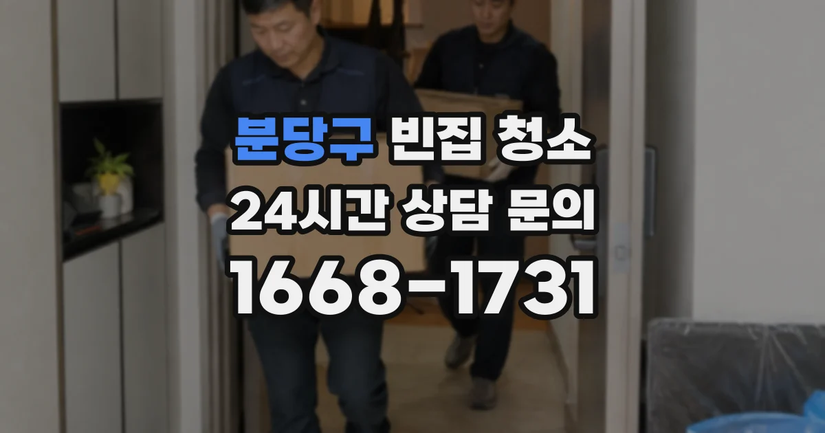 분당구 빈집 청소