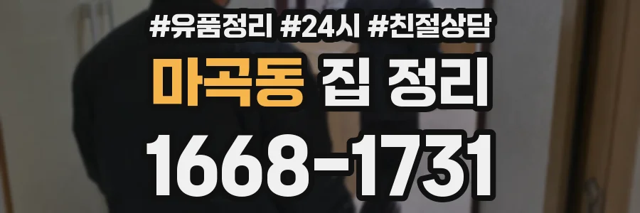 마곡동 집 정리