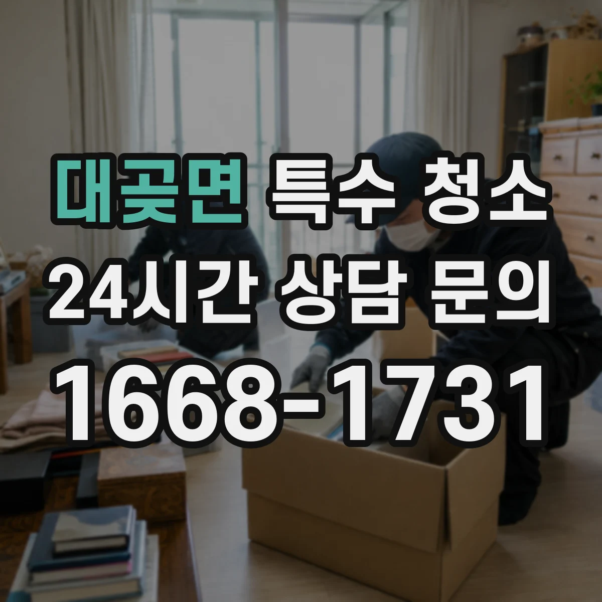 대곶면 특수 청소