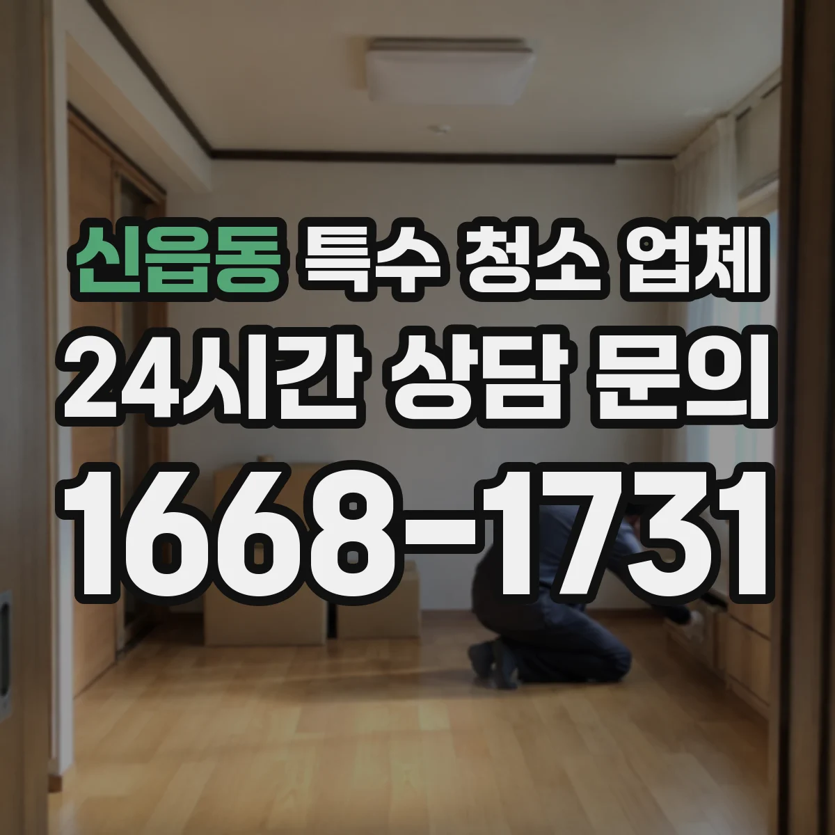 신읍동 특수 청소 업체