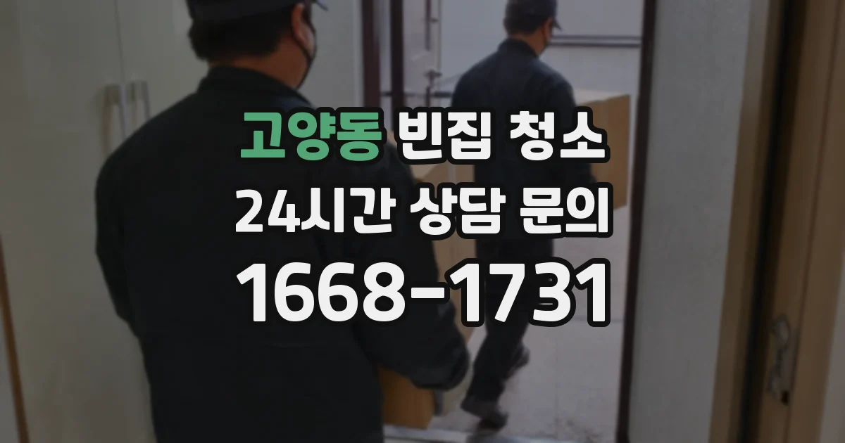 고양동 빈집 청소