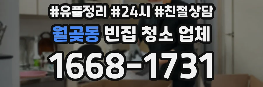 월곶동 빈집 청소 업체
