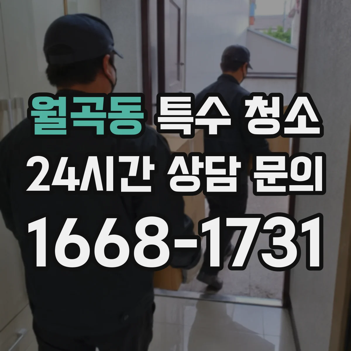 월곡동 특수 청소