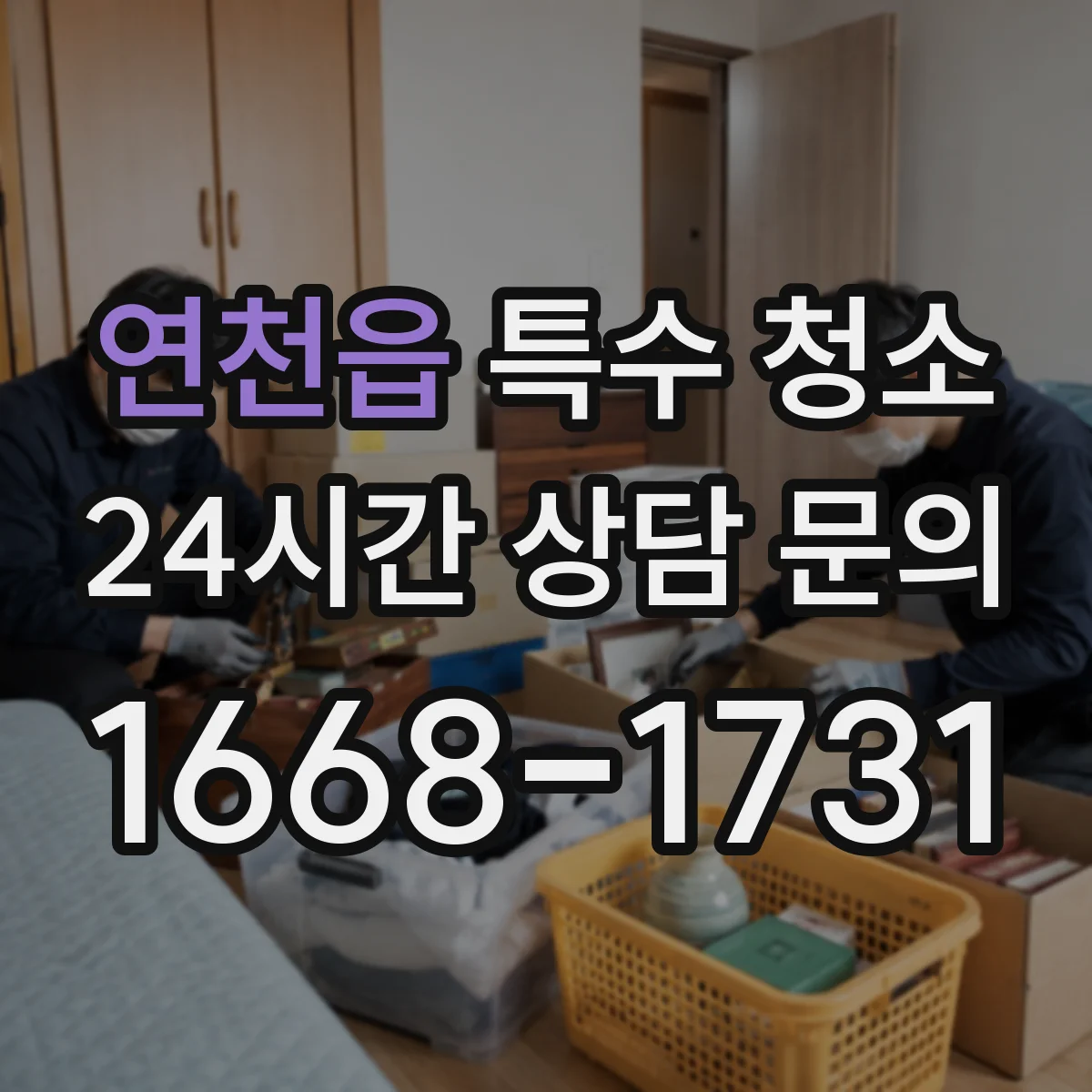 연천읍 특수 청소