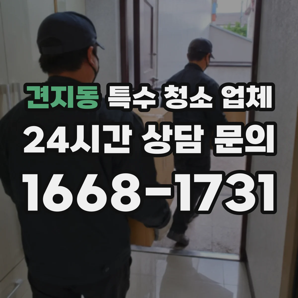 견지동 특수 청소 업체