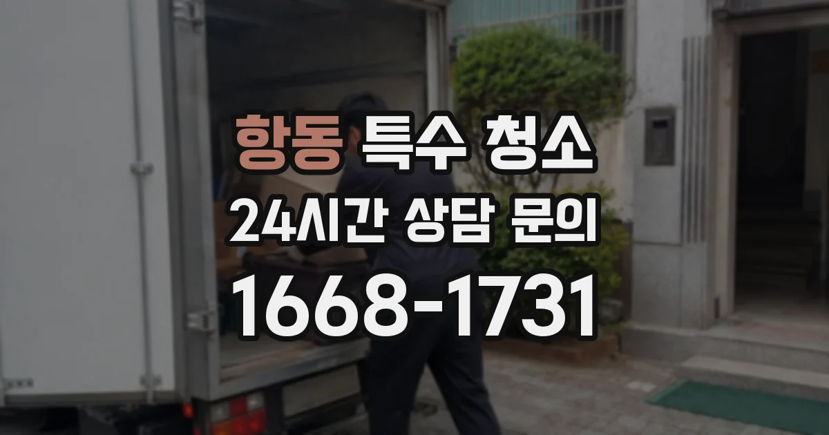 항동 특수 청소