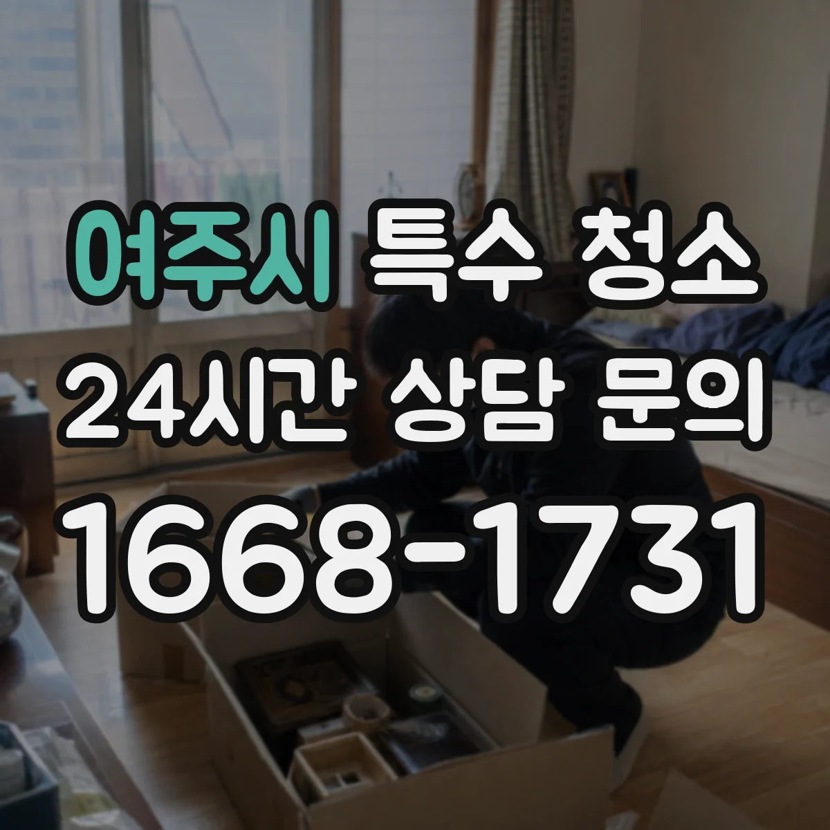 여주시 특수 청소