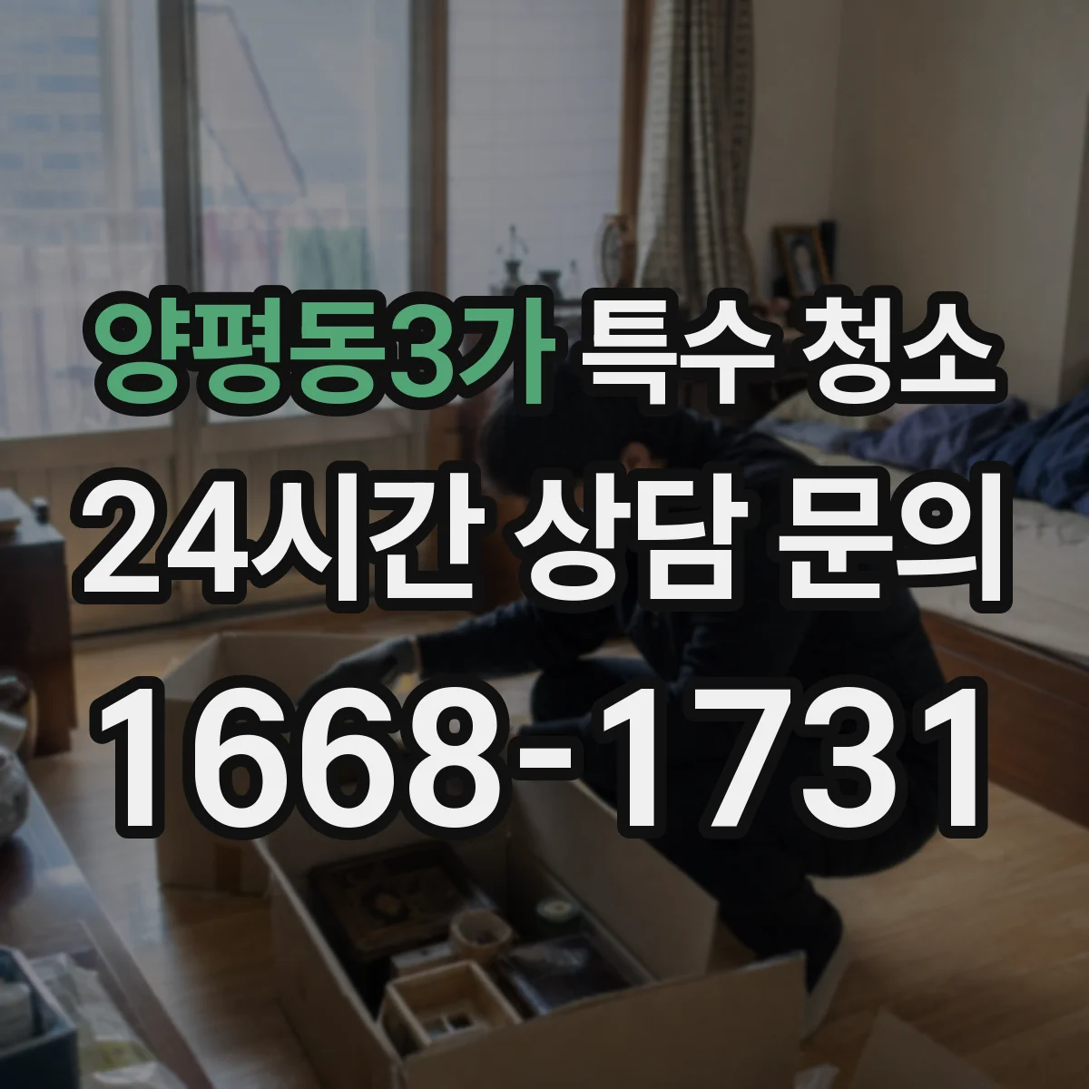 양평동3가 특수 청소