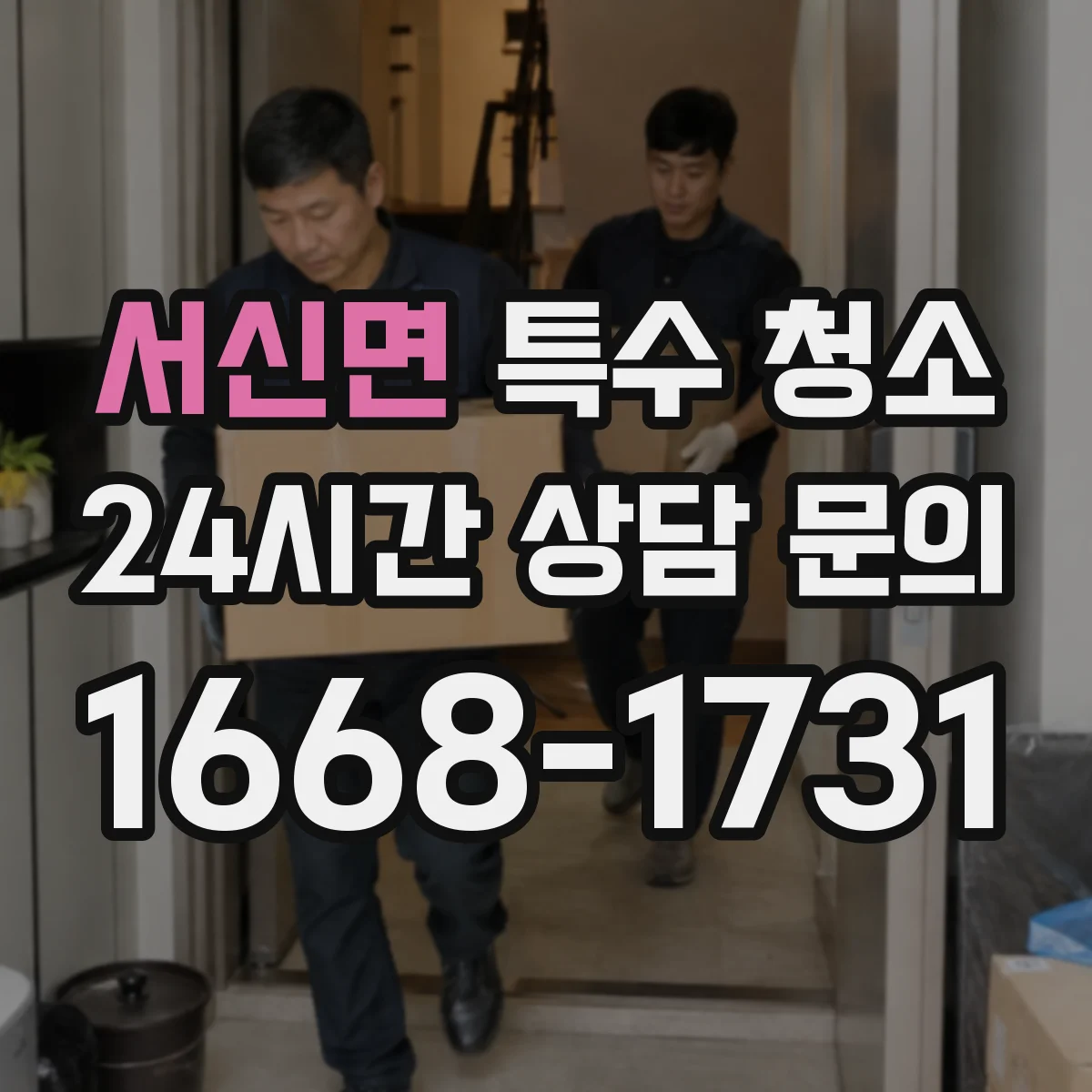서신면 특수 청소