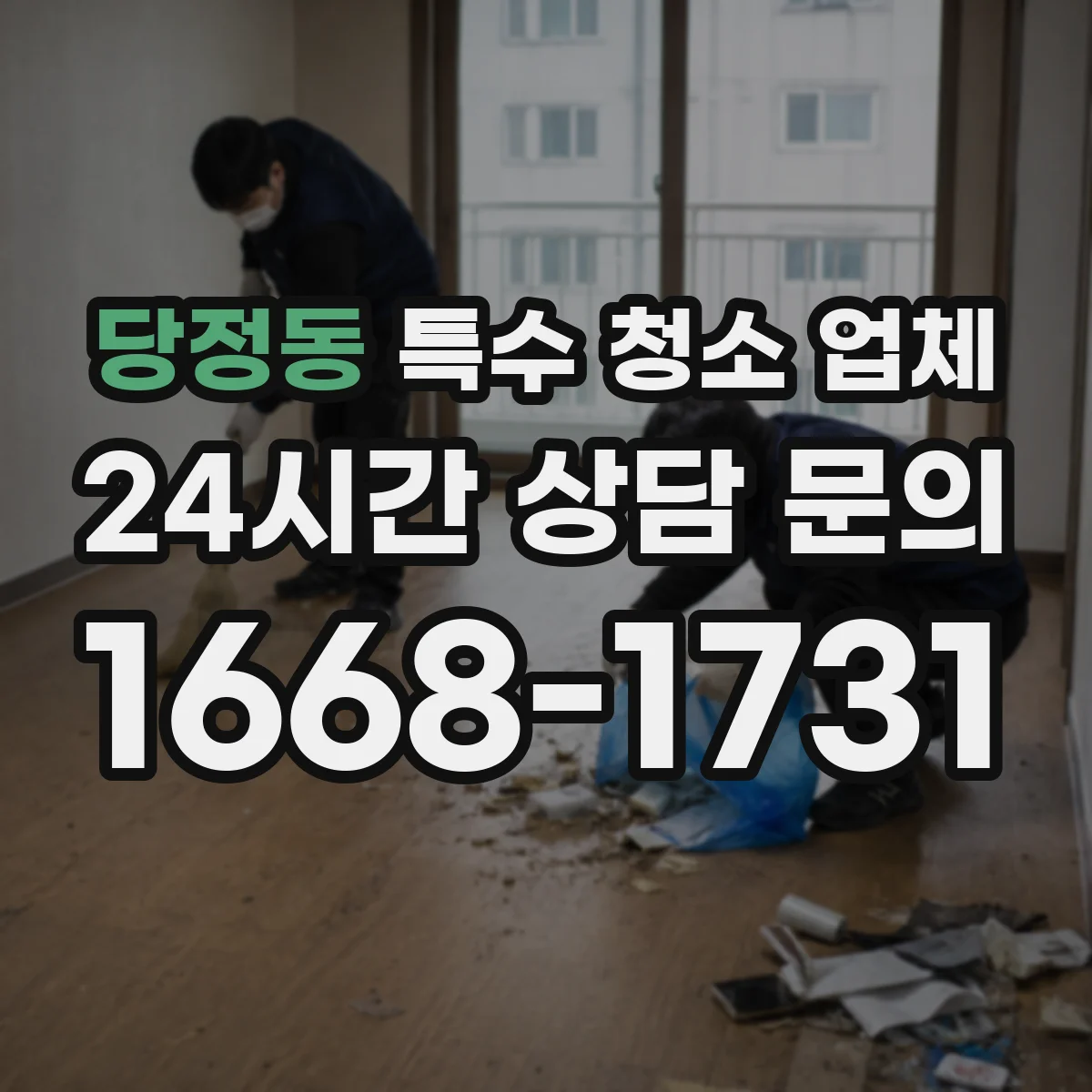 당정동 특수 청소 업체