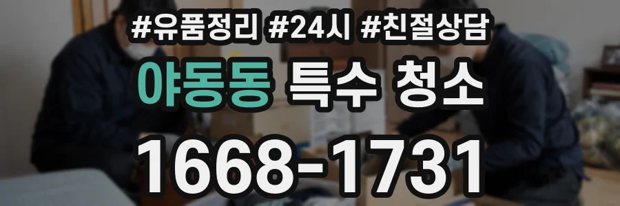 야동동 특수 청소