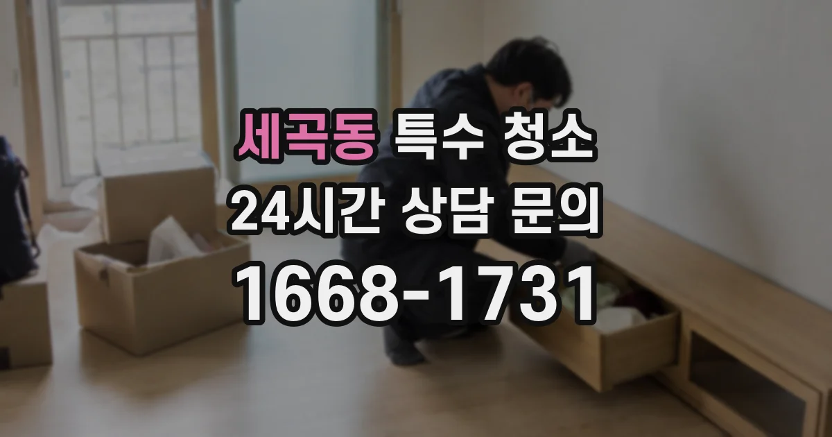 세곡동 특수 청소