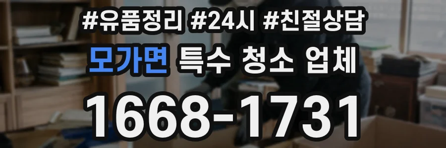모가면 특수 청소 업체