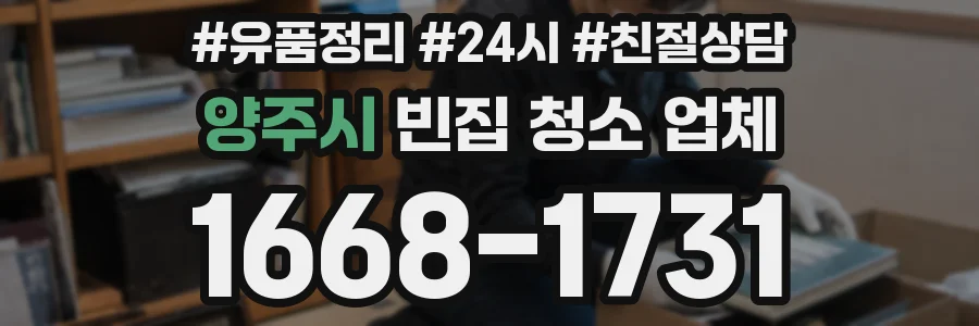 양주시 빈집 청소 업체