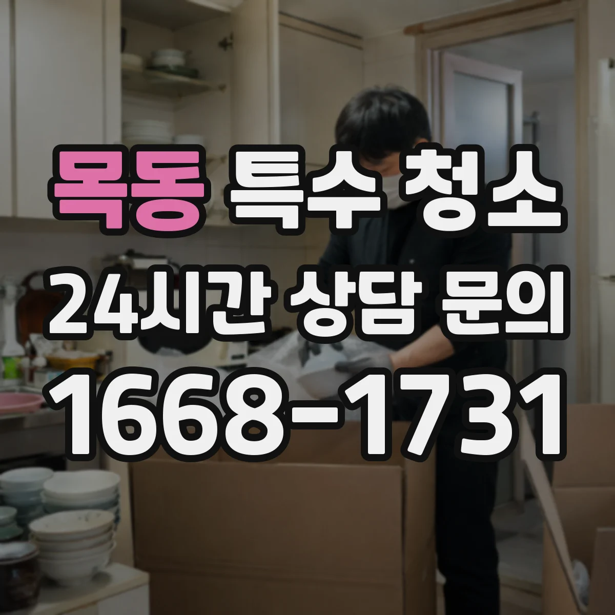 목동 특수 청소