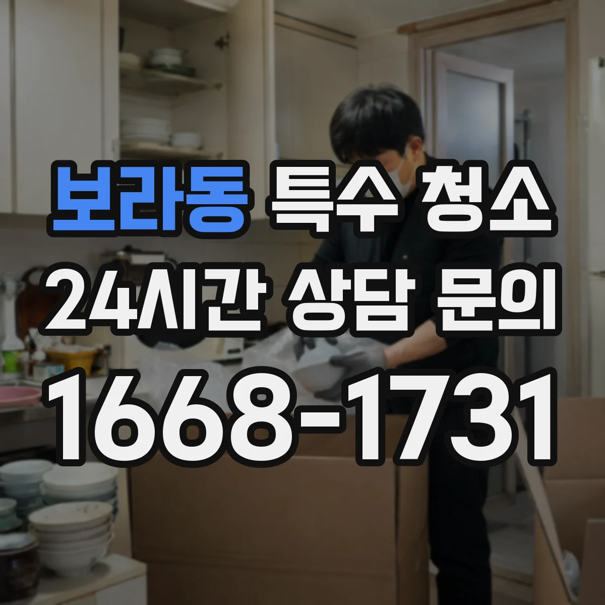 보라동 특수 청소