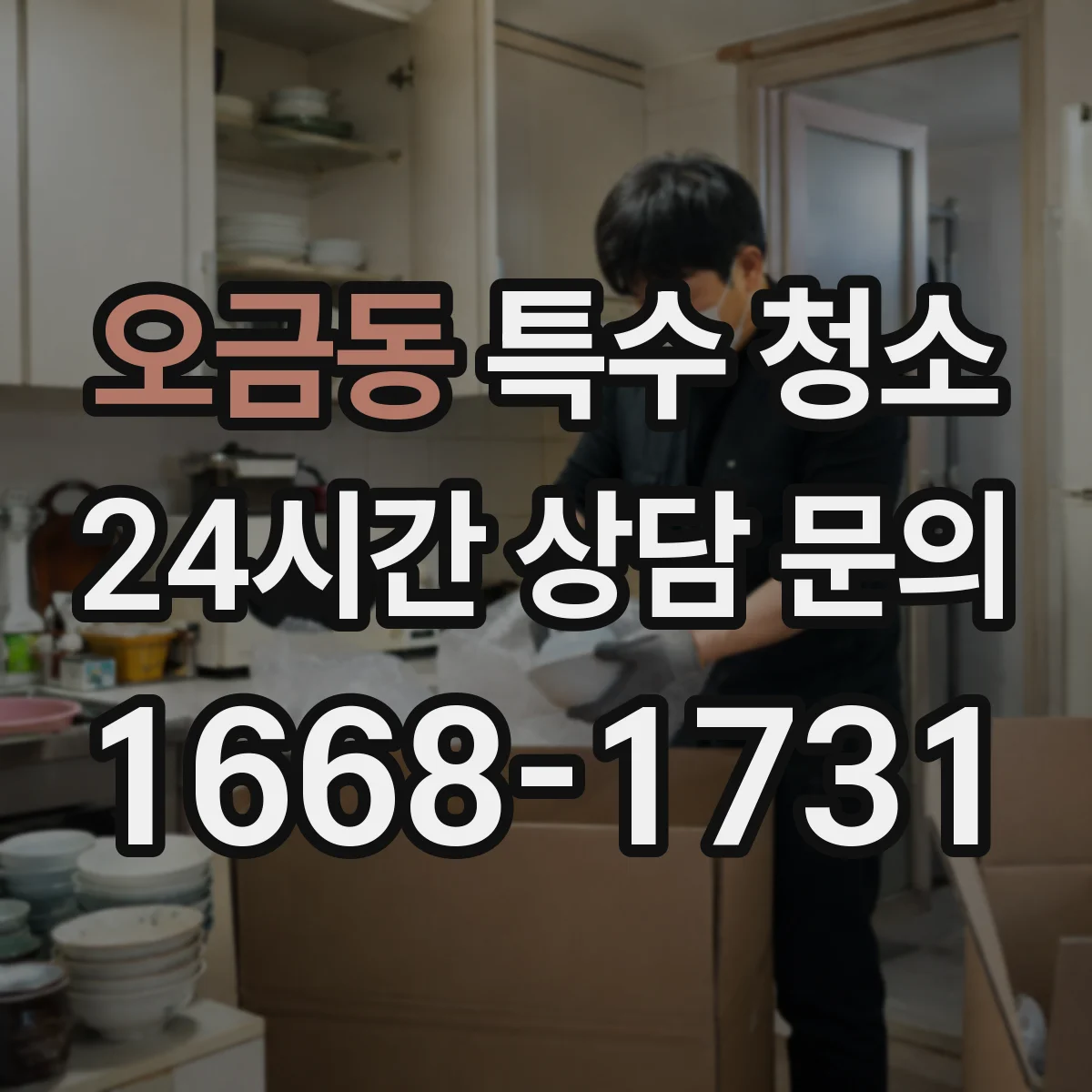 오금동 특수 청소