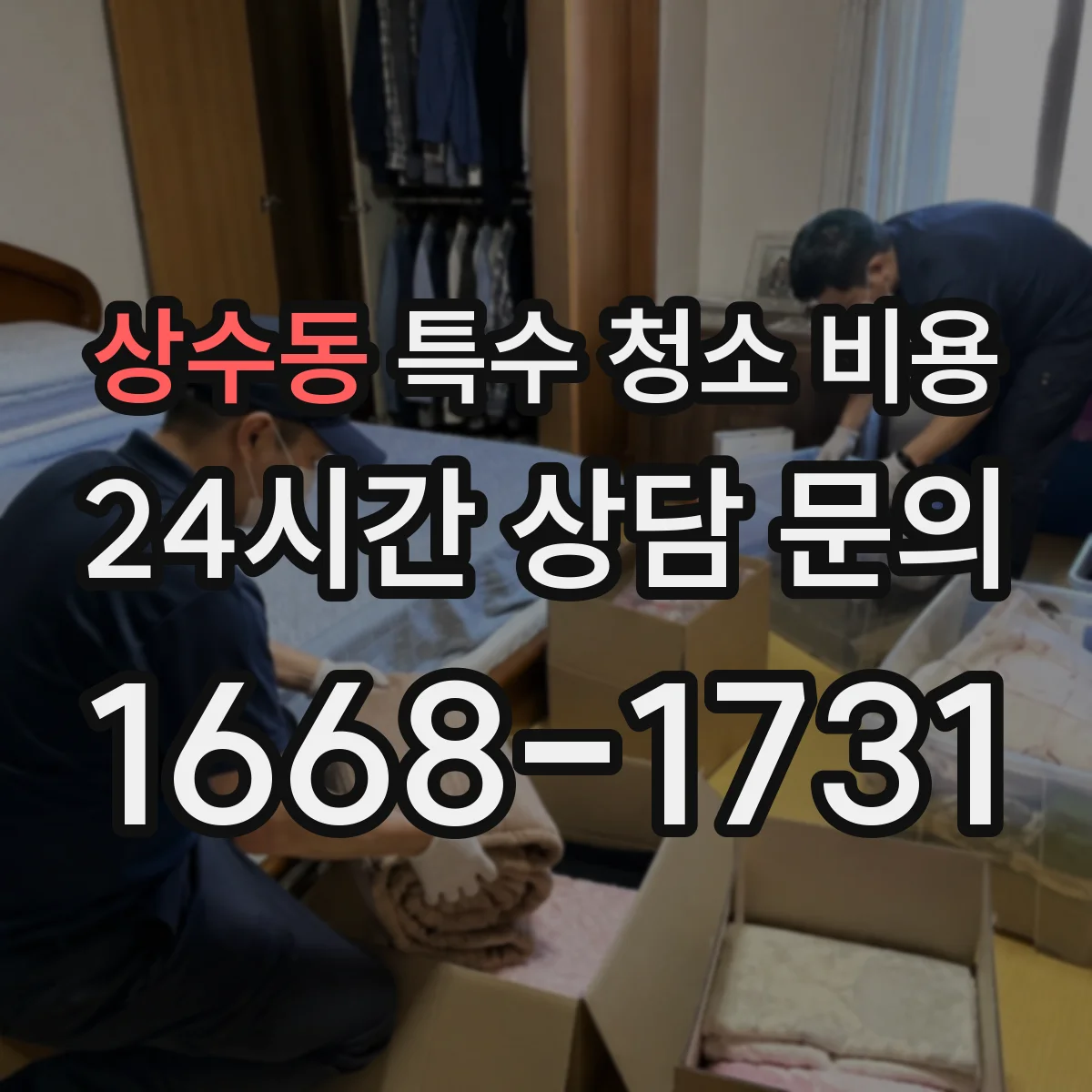 상수동 특수 청소 비용