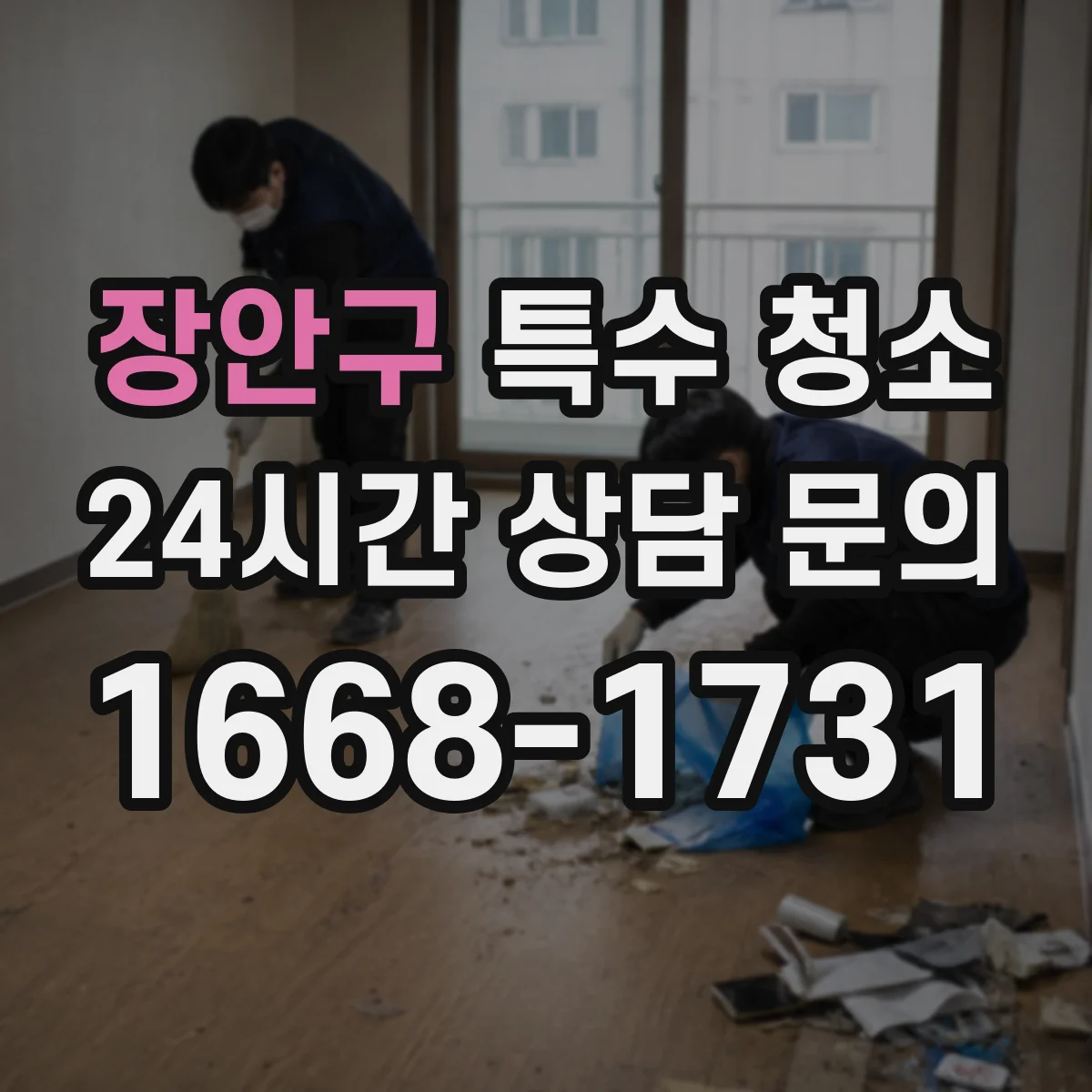 장안구 특수 청소
