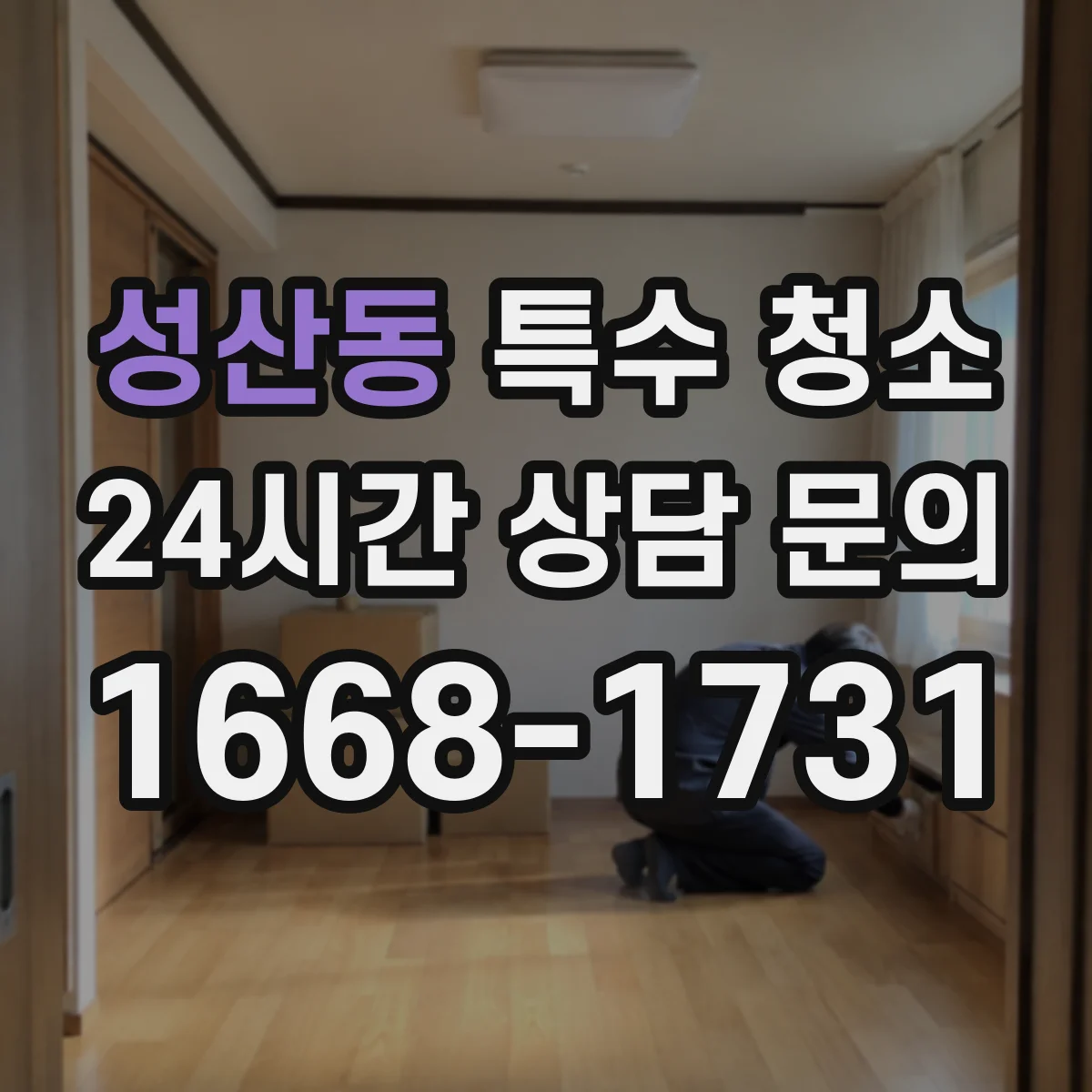 성산동 특수 청소