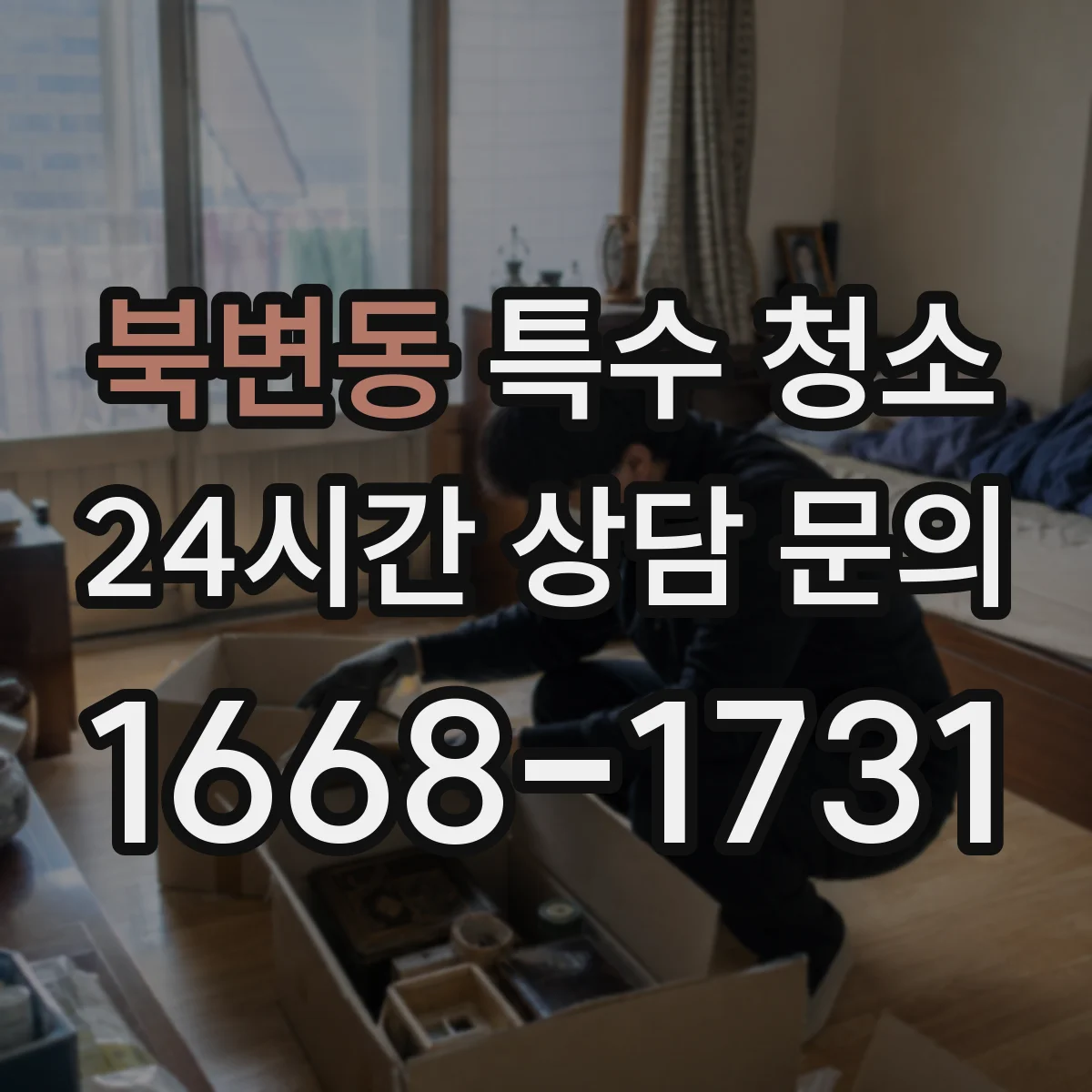 북변동 특수 청소