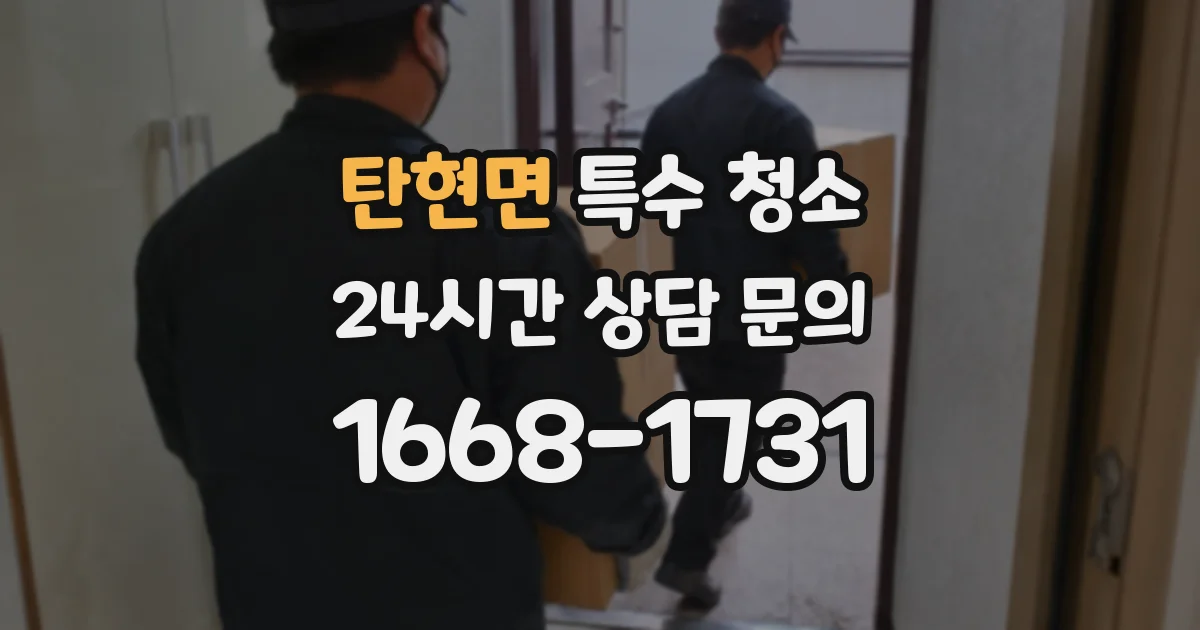 탄현면 특수 청소